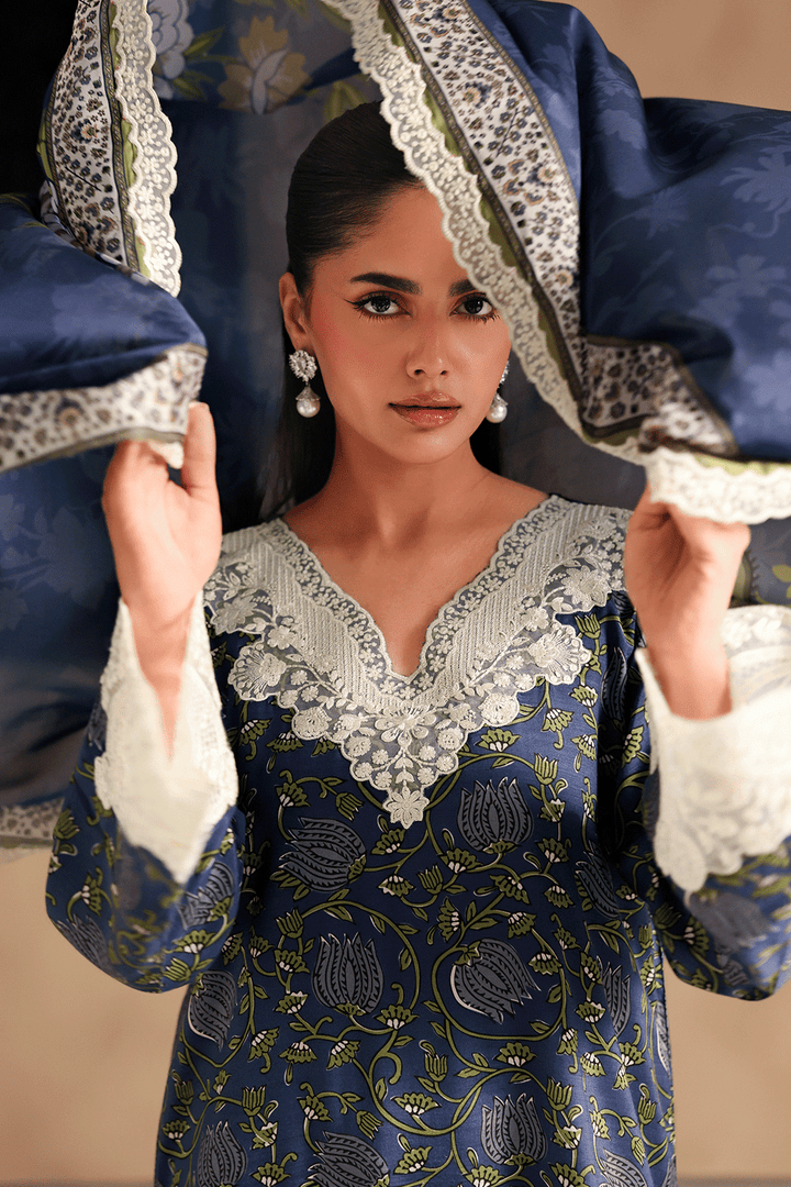 Naqsh Embroidered Rawsilk