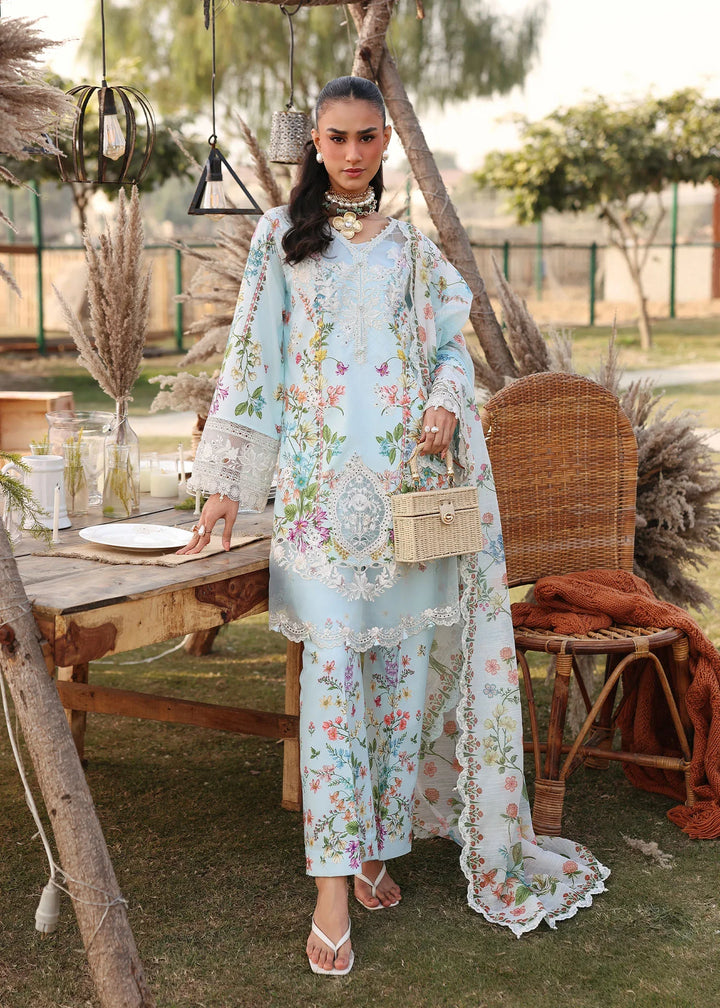 Festive Lawn&