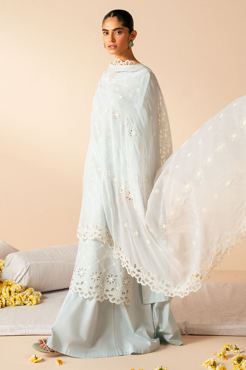 3PC CHIKANKARI SUIT