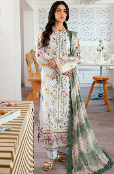 Zync Daily Wear Collection
