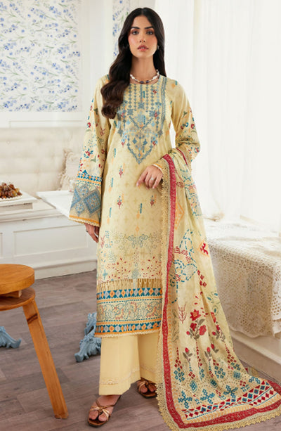 Zync Daily Wear Collection