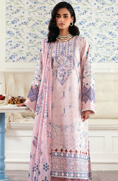 Zync Daily Wear Collection