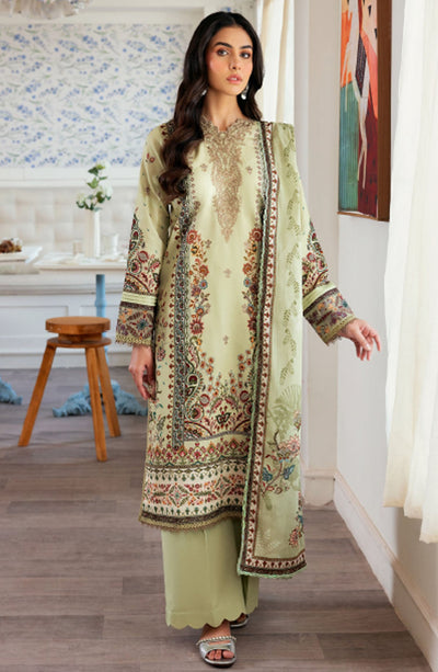 Zync Daily Wear Collection