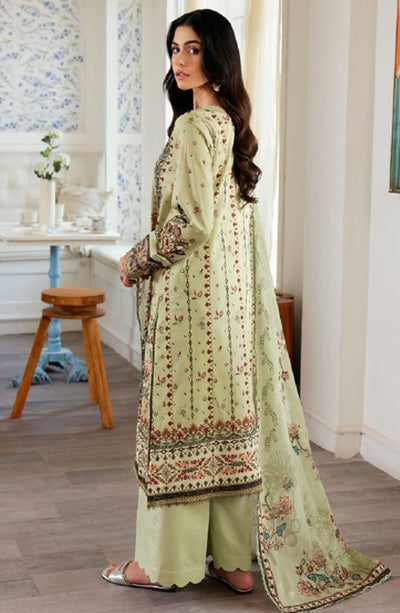 Zync Daily Wear Collection